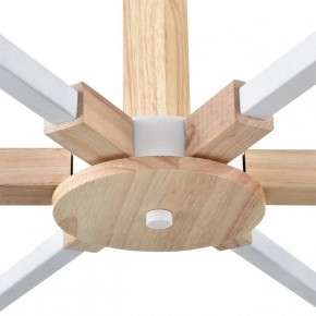 Люстра на штанге Lumion Colange 8095/6C в Шадринске - shadrinsk.mebel24.online | фото 7