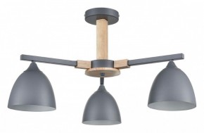 Люстра на штанге Lumion Colange 8096/3C в Шадринске - shadrinsk.mebel24.online | фото
