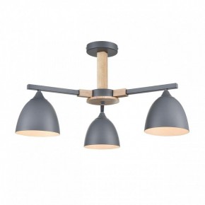 Люстра на штанге Lumion Colange 8096/3C в Шадринске - shadrinsk.mebel24.online | фото 2