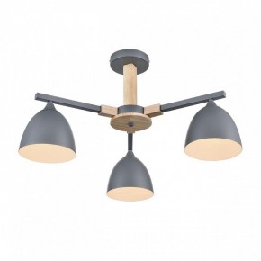 Люстра на штанге Lumion Colange 8096/3C в Шадринске - shadrinsk.mebel24.online | фото 3