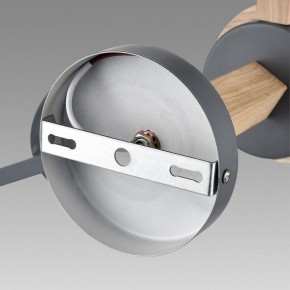 Люстра на штанге Lumion Colange 8096/3C в Шадринске - shadrinsk.mebel24.online | фото 6