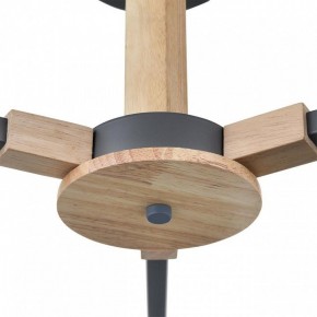 Люстра на штанге Lumion Colange 8096/3C в Шадринске - shadrinsk.mebel24.online | фото 7