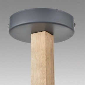 Люстра на штанге Lumion Colange 8096/3C в Шадринске - shadrinsk.mebel24.online | фото 9
