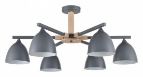 Люстра на штанге Lumion Colange 8096/6C в Шадринске - shadrinsk.mebel24.online | фото