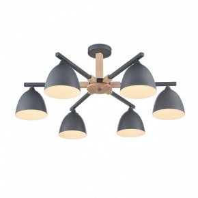 Люстра на штанге Lumion Colange 8096/6C в Шадринске - shadrinsk.mebel24.online | фото 3