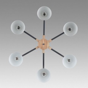 Люстра на штанге Lumion Colange 8096/6C в Шадринске - shadrinsk.mebel24.online | фото 4