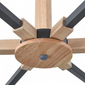 Люстра на штанге Lumion Colange 8096/6C в Шадринске - shadrinsk.mebel24.online | фото 7