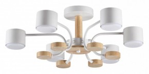 Люстра на штанге Lumion Rondo 8231/6C в Шадринске - shadrinsk.mebel24.online | фото