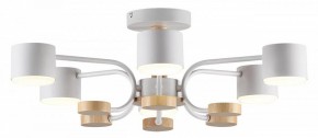 Люстра на штанге Lumion Rondo 8231/6C в Шадринске - shadrinsk.mebel24.online | фото 2