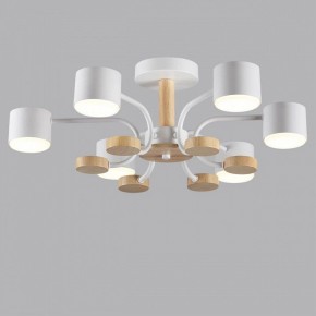 Люстра на штанге Lumion Rondo 8231/6C в Шадринске - shadrinsk.mebel24.online | фото 4