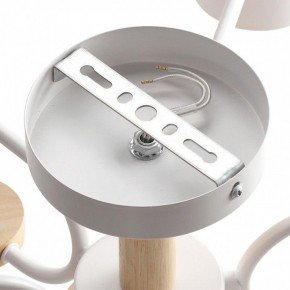 Люстра на штанге Lumion Rondo 8231/6C в Шадринске - shadrinsk.mebel24.online | фото 6