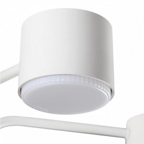 Люстра на штанге Lumion Rondo 8231/6C в Шадринске - shadrinsk.mebel24.online | фото 7