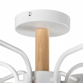 Люстра на штанге Lumion Rondo 8231/6C в Шадринске - shadrinsk.mebel24.online | фото 8