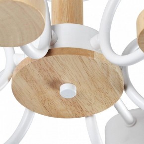Люстра на штанге Lumion Rondo 8231/6C в Шадринске - shadrinsk.mebel24.online | фото 9
