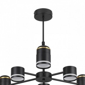 Люстра на штанге Lumion Virsava 8234/6C в Шадринске - shadrinsk.mebel24.online | фото 5