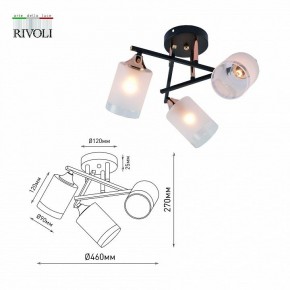Люстра на штанге Rivoli Fiona Б0059259 в Шадринске - shadrinsk.mebel24.online | фото