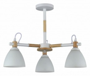 Люстра на штанге Rivoli Louise Б0060982 в Шадринске - shadrinsk.mebel24.online | фото