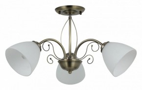 Люстра на штанге Rivoli Sue Б0060985 в Шадринске - shadrinsk.mebel24.online | фото