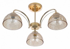 Люстра на штанге Rivoli Terri Б0060988 в Шадринске - shadrinsk.mebel24.online | фото 2