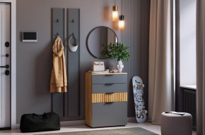МЕБЕЛЬСОН К21 Прихожая в Шадринске - shadrinsk.mebel24.online | фото 2