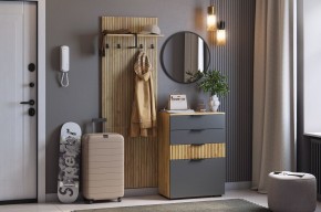 МЕБЕЛЬСОН К3 Прихожая (графит) в Шадринске - shadrinsk.mebel24.online | фото