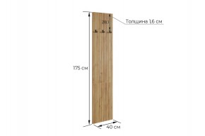 МЕБЕЛЬСОН К7 Прихожая в Шадринске - shadrinsk.mebel24.online | фото 4