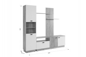 МОДИ К1 Гостиная (белое дерево) в Шадринске - shadrinsk.mebel24.online | фото 2