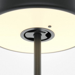 Настольная лампа декоративная Maytoni AI Collaboration MOD229TL-L3B3K2 в Шадринске - shadrinsk.mebel24.online | фото 5