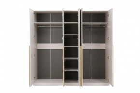 НИКОЛЬ 25 Шкаф 5-ти створчатый в Шадринске - shadrinsk.mebel24.online | фото 3
