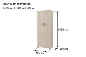 ШО-53 В тумба для обуви в Шадринске - shadrinsk.mebel24.online | фото 8