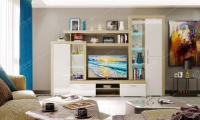 ОРЛАНДО Гостиная набор № 1 в Шадринске - shadrinsk.mebel24.online | фото 4