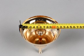 Подвесная люстра Aployt Daniele APL.701.03.12 в Шадринске - shadrinsk.mebel24.online | фото 6