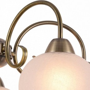 Подвесная люстра Arte Lamp Margo A9317LM-5AB в Шадринске - shadrinsk.mebel24.online | фото 3