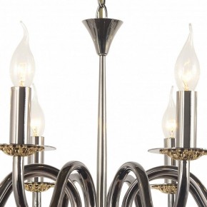 Подвесная люстра Arti Lampadari Pontone Pontone E 1.1.8 PB в Шадринске - shadrinsk.mebel24.online | фото 3