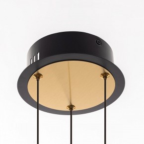 Подвесная люстра Citilux HELLY CL211042 в Шадринске - shadrinsk.mebel24.online | фото 11