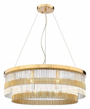 Подвесная люстра Divinare Brillante 6813/17 LM-10 в Шадринске - shadrinsk.mebel24.online | фото
