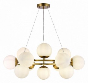 Подвесная люстра EVOLUCE Fratta SLE1191-203-12 в Шадринске - shadrinsk.mebel24.online | фото 3