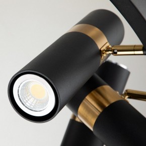Подвесная люстра Favourite Light point 2997-9P в Шадринске - shadrinsk.mebel24.online | фото 5