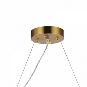 Подвесная люстра Favourite Magnitudo 2206-12P в Шадринске - shadrinsk.mebel24.online | фото 7