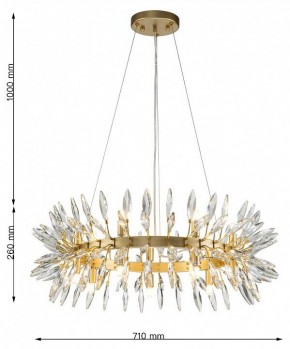 Подвесная люстра Favourite Rays 4058-14P в Шадринске - shadrinsk.mebel24.online | фото 7