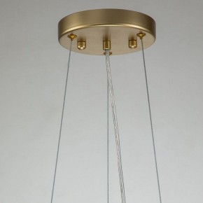 Подвесная люстра Favourite Rays 4058-8P в Шадринске - shadrinsk.mebel24.online | фото 10
