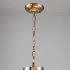 Подвесная люстра Favourite Rocca 2689-6P в Шадринске - shadrinsk.mebel24.online | фото 4