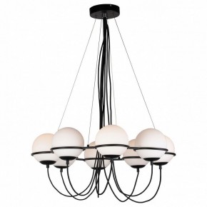 Подвесная люстра Lightstar Globo 803287 в Шадринске - shadrinsk.mebel24.online | фото 2
