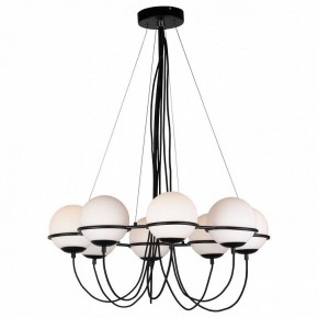 Подвесная люстра Lightstar Globo 803287 в Шадринске - shadrinsk.mebel24.online | фото 3