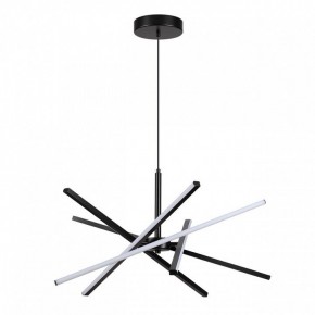 Подвесная люстра Lumion Parker 6563/60L в Шадринске - shadrinsk.mebel24.online | фото 2