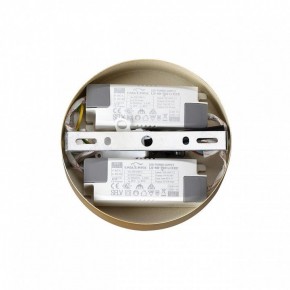 Подвесная люстра Lumion Parker 6564/60L в Шадринске - shadrinsk.mebel24.online | фото 6