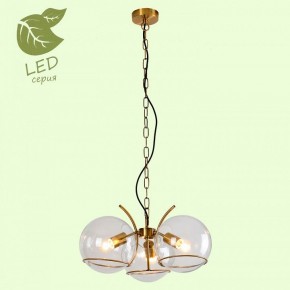 Подвесная люстра Lussole Anchorage GRLSP-9556 в Шадринске - shadrinsk.mebel24.online | фото 3