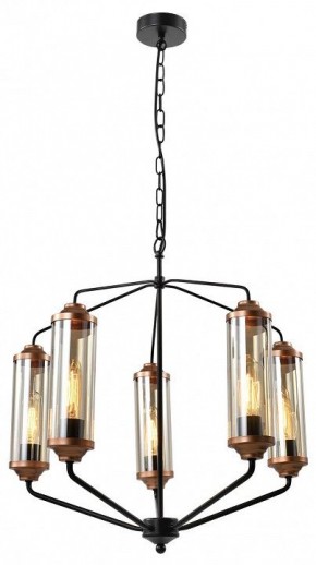 Подвесная люстра Lussole Fishers LSP-8800 в Шадринске - shadrinsk.mebel24.online | фото 2