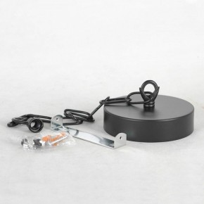 Подвесная люстра Lussole Fishers LSP-8800 в Шадринске - shadrinsk.mebel24.online | фото 7