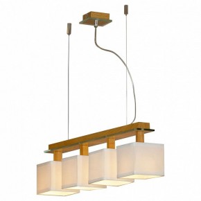 Подвесная люстра Lussole Montone LSF-2503-04 в Шадринске - shadrinsk.mebel24.online | фото 2